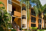 Forest Pointe