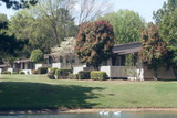 Shadowood