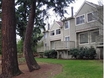 Shadow Wood Townhomes