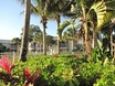 Sabal Key