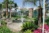 The Colony Townhomes