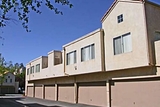 The Terrace