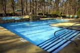 Timber Hollow