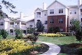 Brook Arbor