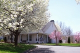 Middletown Brooke