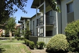 Monterey Pines Apartments