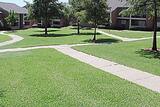 Copper Hill