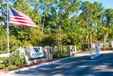 Wedgewood