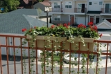 The Enclave At Kennedy Ridge