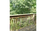Tarpis Woods