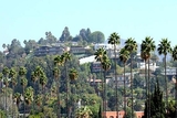 Hollywood View Towers