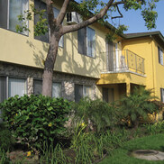 Velvet Green Apartments