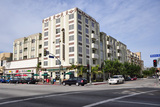 Museum Gardens On Miracle Mile
