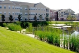 Thornton Park Apartments