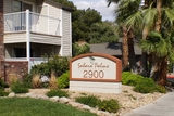 Sahara Palms