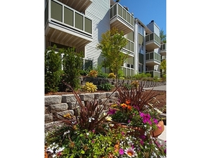 Foster Creek | Tukwila, Washington, 98188   MyNewPlace.com