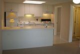 Springtree Apartments