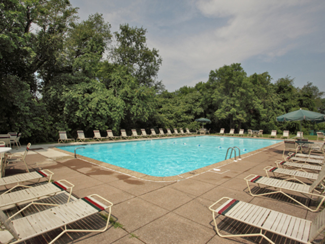 Pet Friendly for Rent in Harrisburg