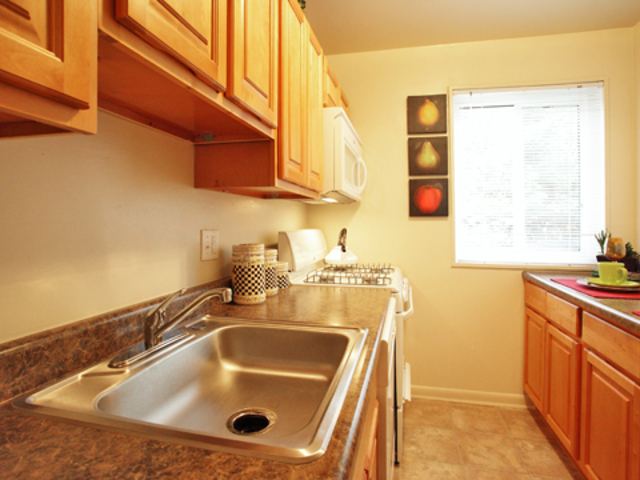 Apartment for Rent in Suitland