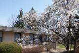 Tabor Ridge Apartments