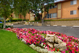 Imt Thousand Oaks