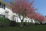 Arbor Creek Apartment Homes