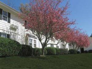 Arbor Creek Apartment Homes | Raleigh, North Carolina, 27606  Garden Style, MyNewPlace.com