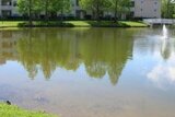 Village Lakes