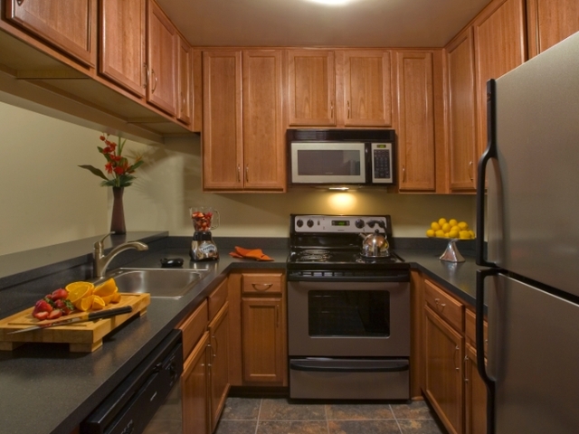 Pet Friendly for Rent in Detroit