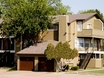 Canyon Oaks
