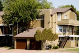Canyon Oaks