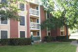 Lincoln Oaks