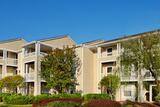 Mission University Pines