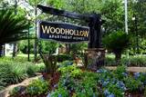Woodhollow