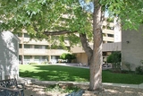 Cobblestone Hill
