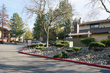 Meridian Terrace Condominium Rentals