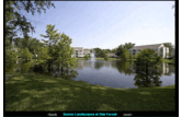 Oak Forest I
