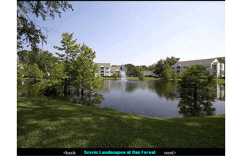 Oak Forest I | Ocoee, Florida, 34761  Garden Style, MyNewPlace.com
