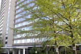 The Park View At 320
