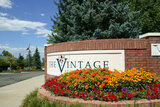 The Vintage At Hyland Hills
