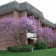 Regency Park Apartments