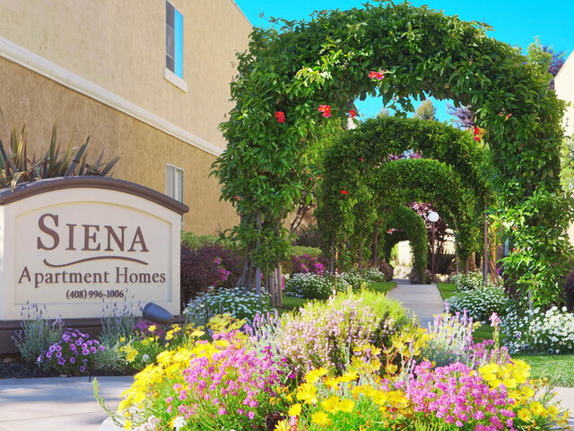 Apartment for Rent in Cupertino