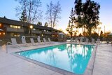 Pine Lake Terrace Apartments