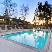 Pine Lake Terrace Apartments