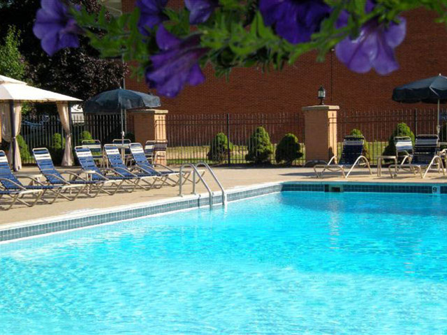 Pet Friendly for Rent in Belleville