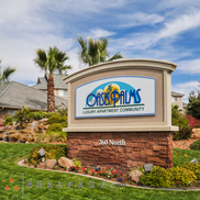 Oasis Palms