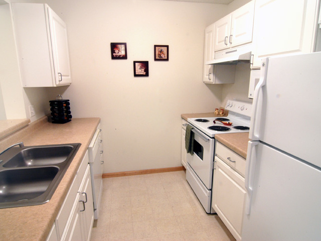 Pet Friendly for Rent in Minneapolis