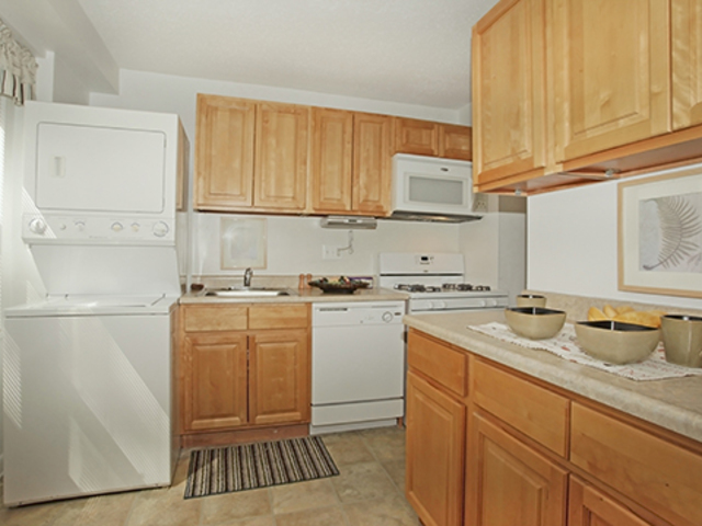 Pet Friendly for Rent in Baltimore