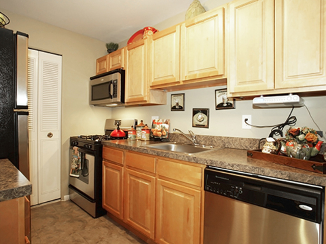 Pet Friendly for Rent in Annapolis