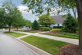 Village Green at Arlington Club